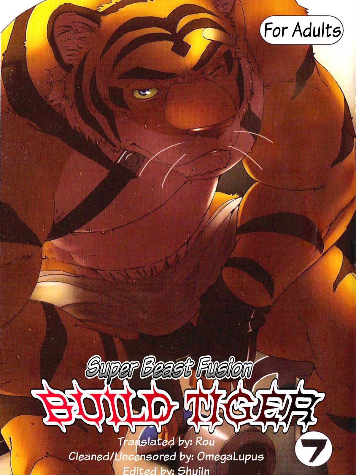 Gamma Dragon Heart Super Beast Fusion Build Tiger 07 Tiger Burning Out on the Ring