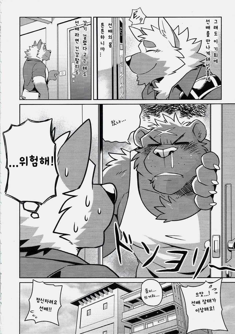 Takemoto фурри arashi комиксы фото 33